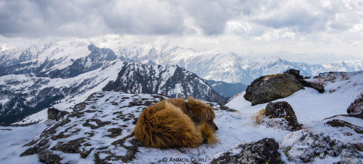 Photo of Kedarkantha Snow Expedition: The Call of Himalayas by Anmol Guru