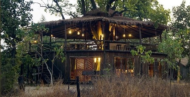 Photo of Tree House Hideaway - Bandhavgarh National Park, Tala, Madhya Pradesh, India by Sreshti Verma