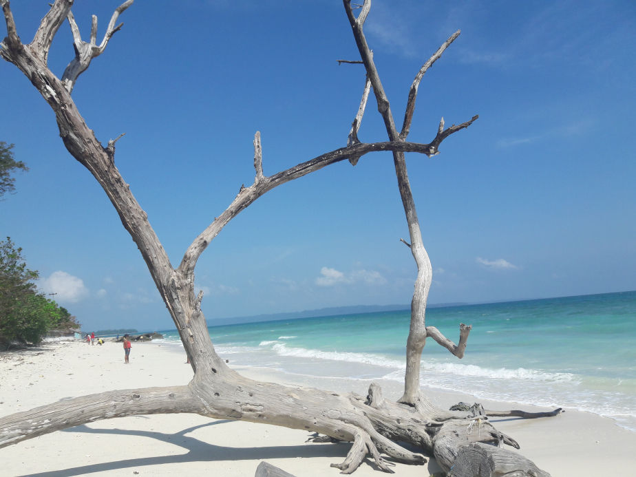 Photo of Havelock Island, South Andaman, Andaman and Nicobar Islands, India by Mohal Banker