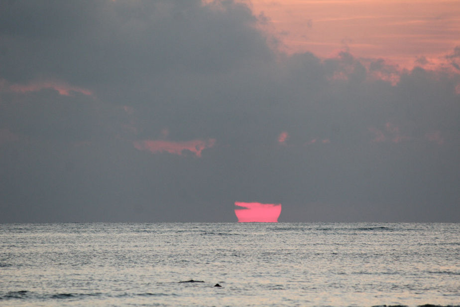 Photo of Havelock island-LOVE U ZINDAGI by Mohal Banker