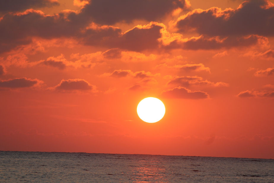 Photo of Havelock island-LOVE U ZINDAGI by Mohal Banker