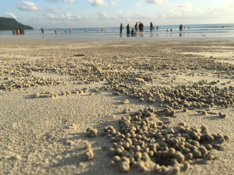 Photo of Havelock island-LOVE U ZINDAGI by Mohal Banker