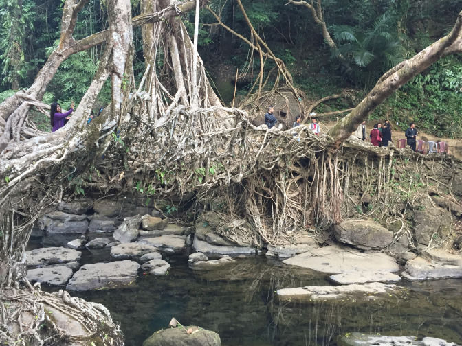Photo of Mawsynram, Meghalaya, India by Rena Das
