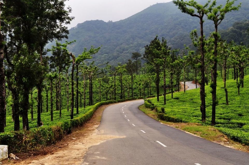 Photo of Valparai, Tamil Nadu, India by Swarnambigai A