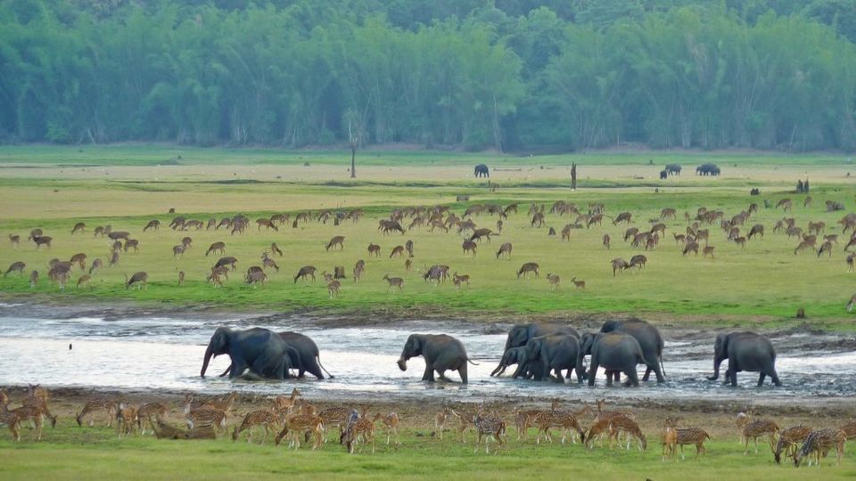 Photo of 2017 - A Year Of Long Weekend! Explore Offbeat Locations Around Coimbatore by Swarnambigai A