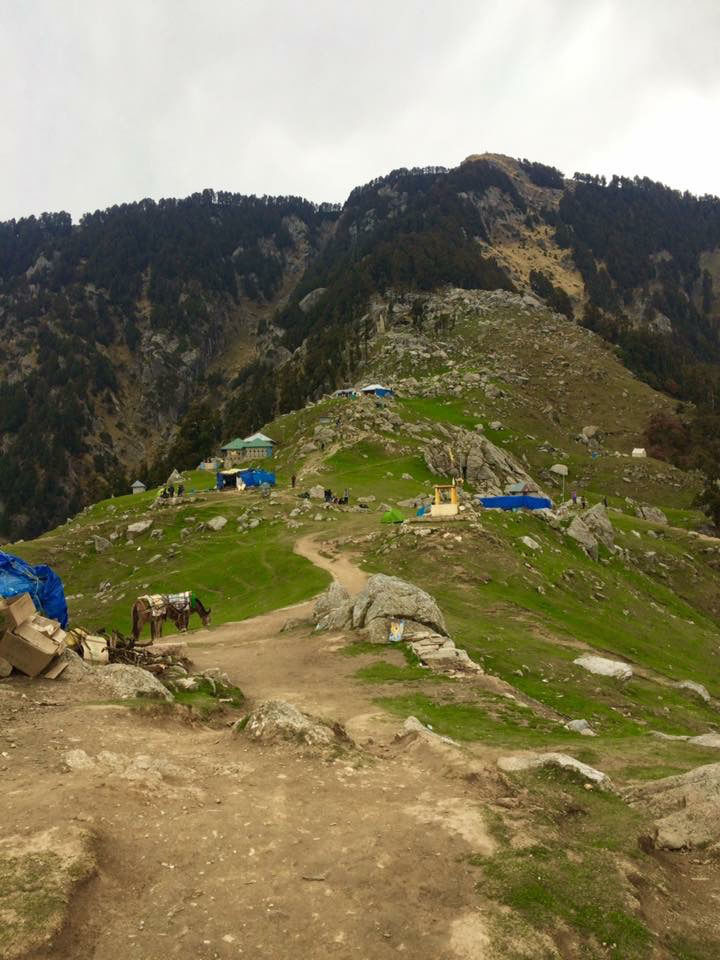 Photo of I Was Never Going To Go If I Waited For Someone To Come With Me, So Here's What I Did Instead by Shubhangi Jeswal