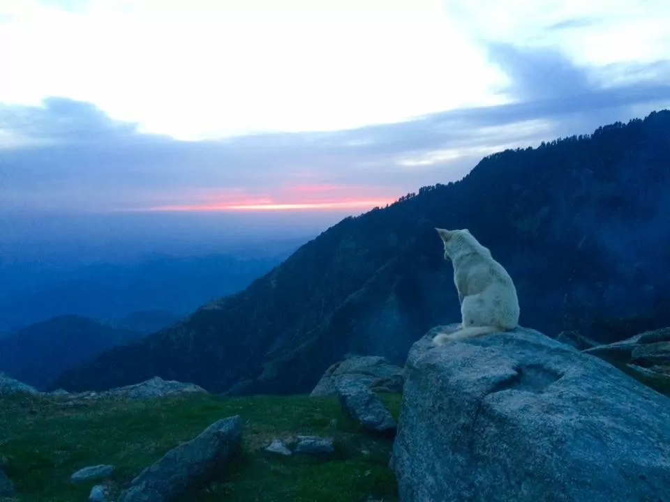Photo of I Was Never Going To Go If I Waited For Someone To Come With Me, So Here's What I Did Instead by Shubhangi Jeswal