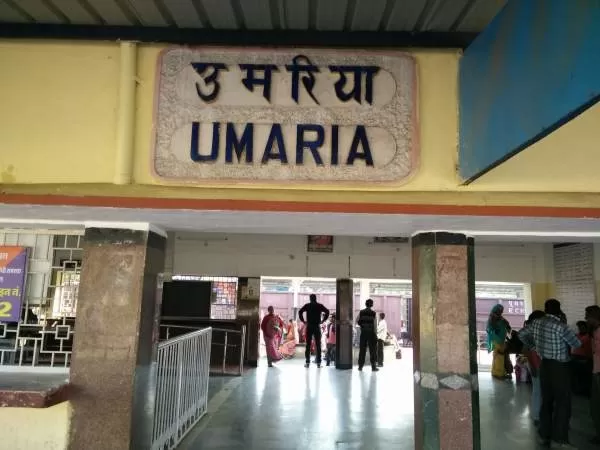 Photo of Backpacking Through Madhya Pradesh by The Travellist