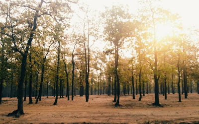 Photo of Shantiniketan 'March 2016 by Priyanshi Singhal