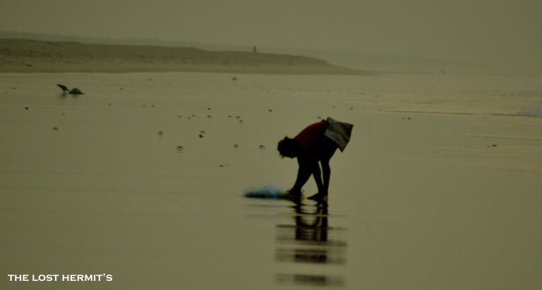 Photo of Konark, Odisha, India by Soumya Jena