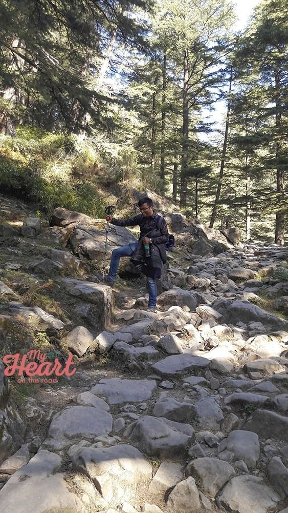 Photo of Trekking To Triund Hill, The Jewel Of Dharamshala, Himachal Pradesh. by myheartontheroad