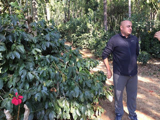 Photo of En Route Chikmagalur by snh.work