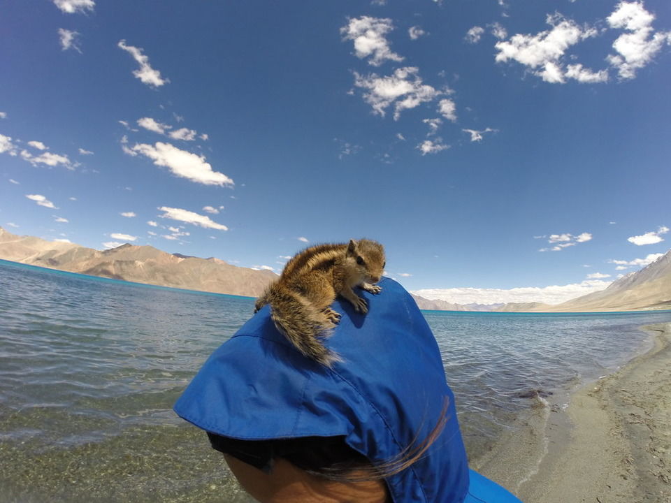 Photo of Self Drive to Leh-Ladakh by Ritu Gaurav