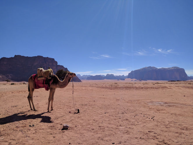 Photo of Wadi Rum - A Complete Guide by Khyati Maloo