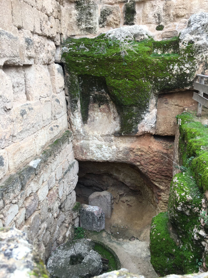 Photo of Jerash - A Rome Away From Rome by Khyati Maloo