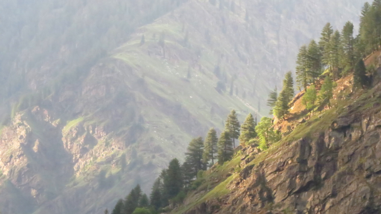 Photo of Rupin Pass 1: The Quest Begins by Divyangana Kakade