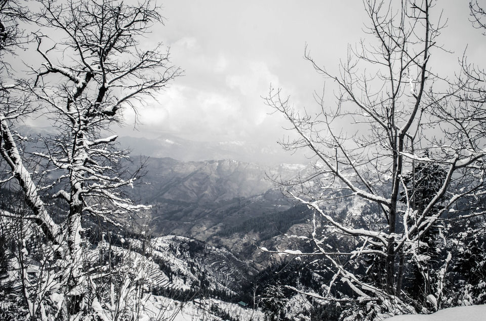 Photo of How We Found A Winter Wonderland Just 6 Hours Away From Shimla by Sreshti Verma