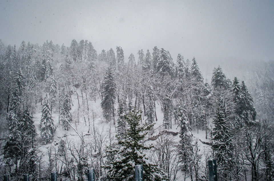 Photo of How We Found A Winter Wonderland Just 6 Hours Away From Shimla by Sreshti Verma