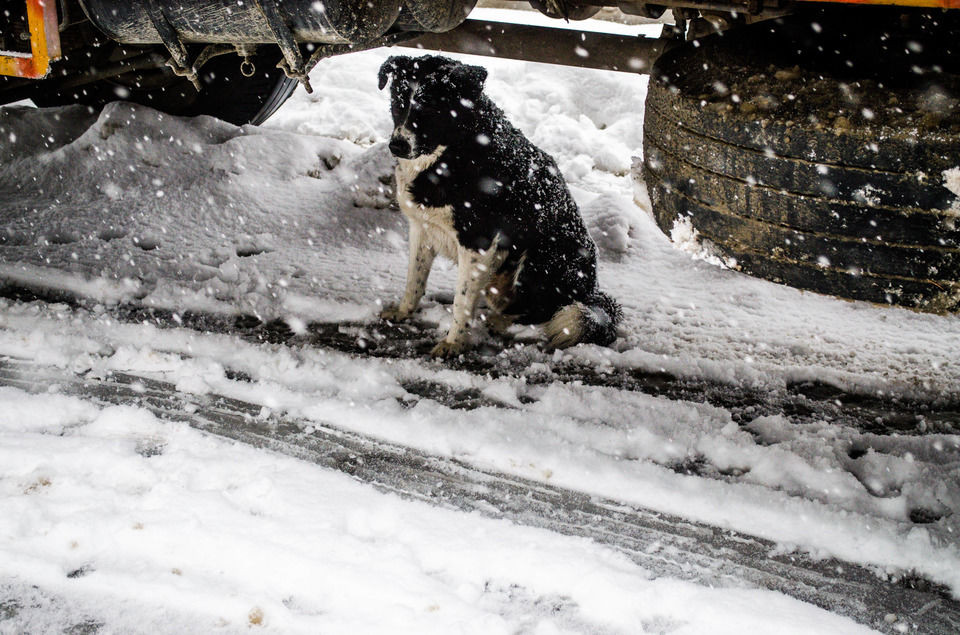 Photo of How We Found A Winter Wonderland Just 6 Hours Away From Shimla by Sreshti Verma