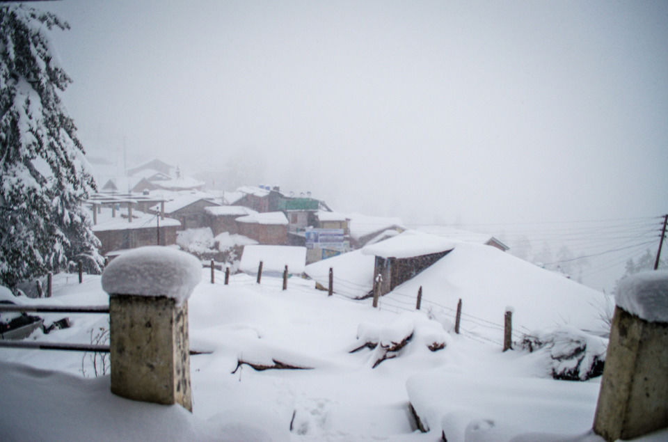 Photo of How We Found A Winter Wonderland Just 6 Hours Away From Shimla by Sreshti Verma