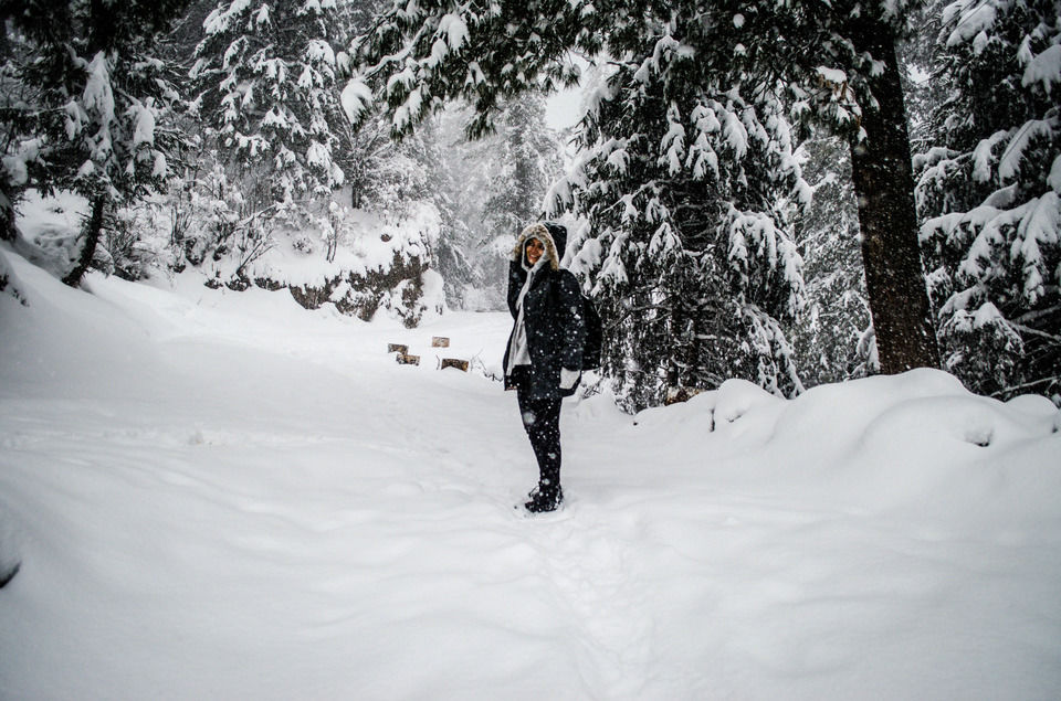 Photo of How We Found A Winter Wonderland Just 6 Hours Away From Shimla by Sreshti Verma