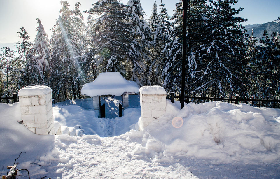 Photo of How We Found A Winter Wonderland Just 6 Hours Away From Shimla by Sreshti Verma