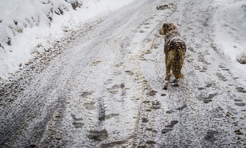 Photo of How We Found A Winter Wonderland Just 6 Hours Away From Shimla by Sreshti Verma