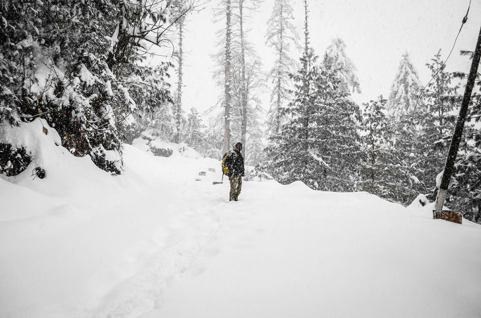Photo of How We Found A Winter Wonderland Just 6 Hours Away From Shimla by Sreshti Verma