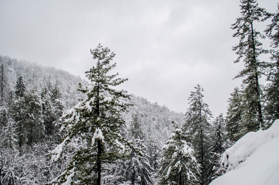 Photo of How We Found A Winter Wonderland Just 6 Hours Away From Shimla by Sreshti Verma
