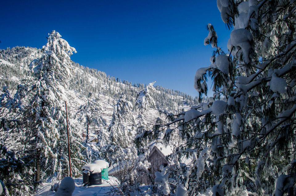 Photo of How We Found A Winter Wonderland Just 6 Hours Away From Shimla by Sreshti Verma