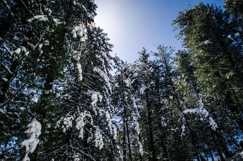 Photo of How We Found A Winter Wonderland Just 6 Hours Away From Shimla by Sreshti Verma