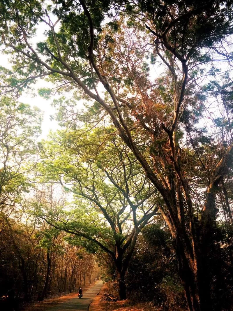 Photo of Kanheri Caves, Mumbai, Maharashtra, India by Neha