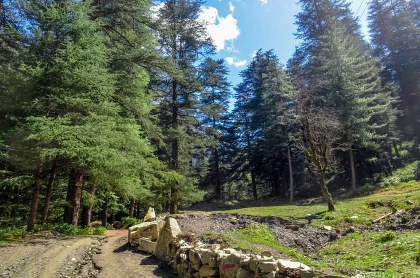 Photo of Chalal Trek Trail, Kullu, Himachal Pradesh, India by Soumitra Mitra