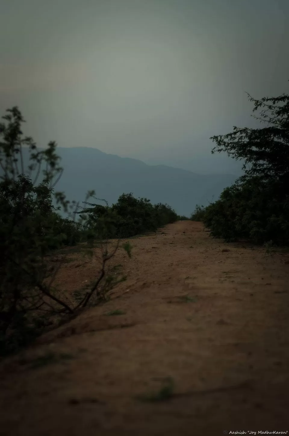 Photo of Nagalapuram, Andhra Pradesh, India by Deepthi S
