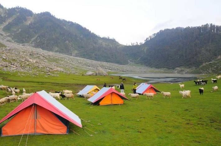 Photo of Kalatop Wildlife Sanctuary, Kalatope R.F, Himachal Pradesh, India by myheartontheroad