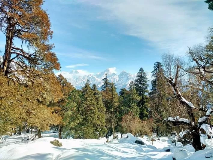 Photo of Kuari Pass: A Winter Trek You'll Never Forget! by Travel Beings
