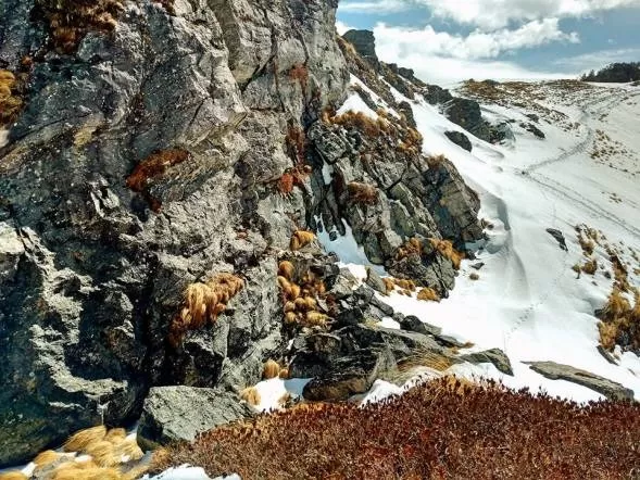 Photo of Kuari Pass: A Winter Trek You'll Never Forget! by Travel Beings
