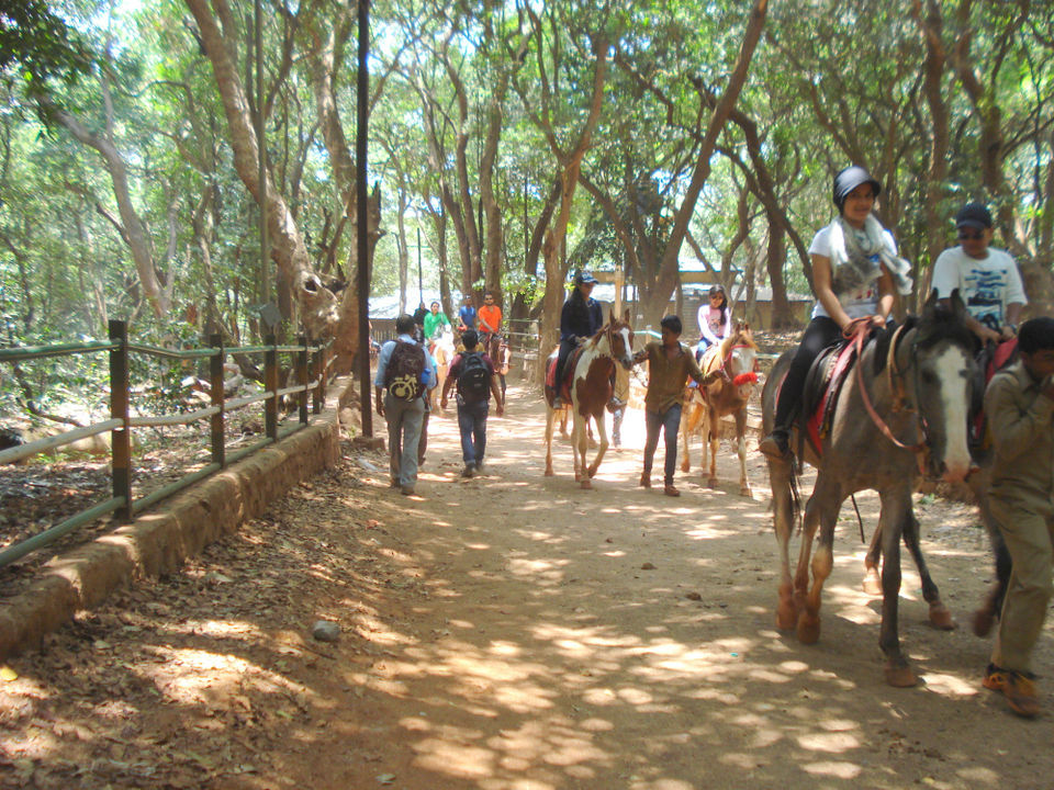 Photo of Mystical Matheran 7/34 by Jayati Sen