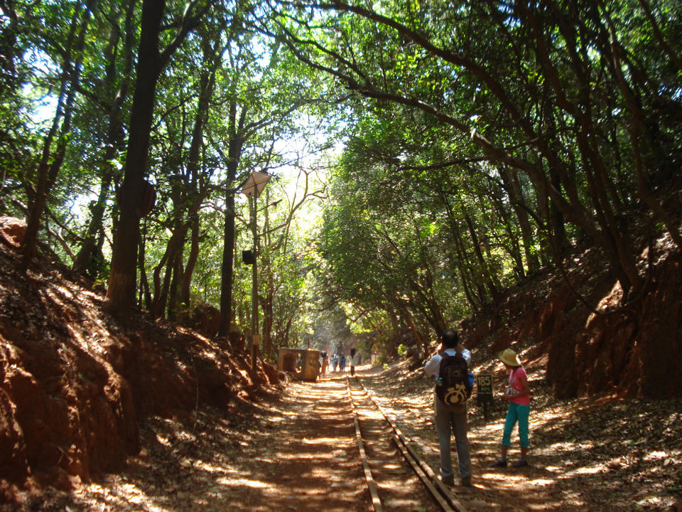 Photo of Mystical Matheran 12/34 by Jayati Sen