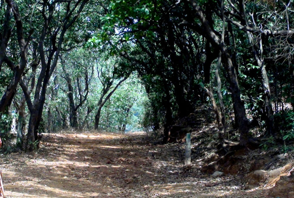 Photo of Mystical Matheran 28/34 by Jayati Sen