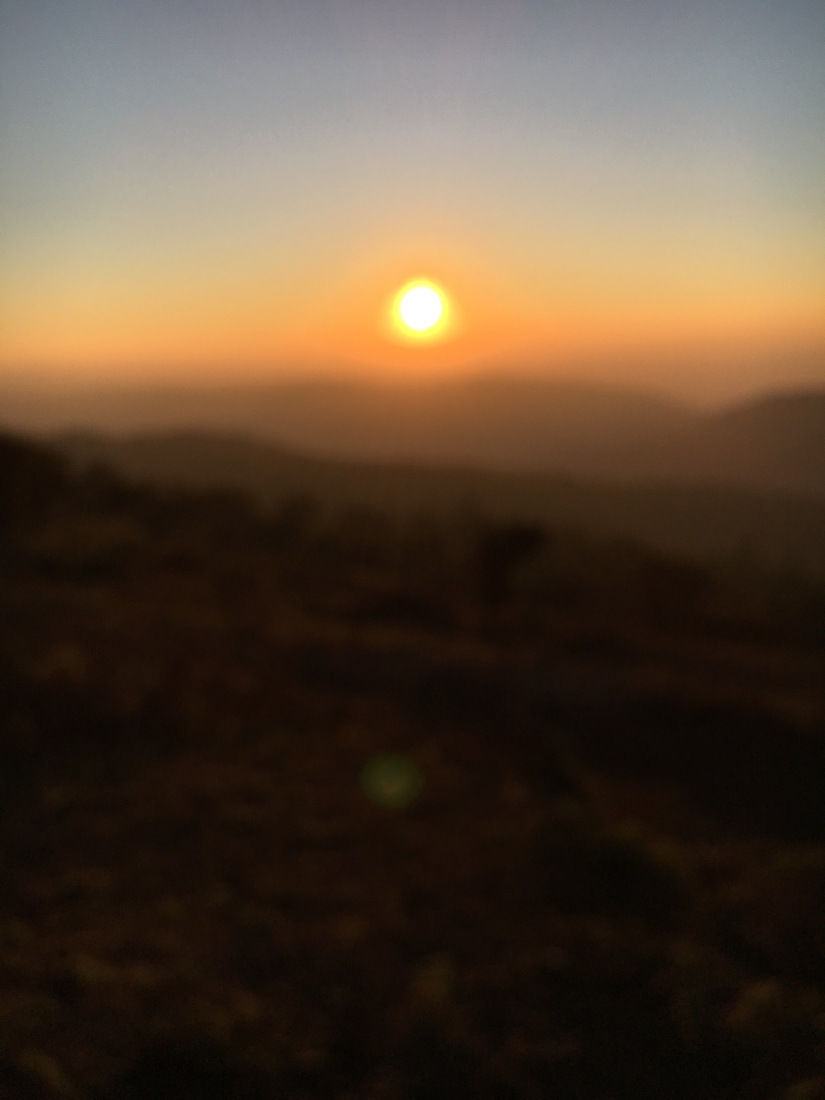 Photo of Shevaroy Hills, Salem, Tamil Nadu, India by Namita S