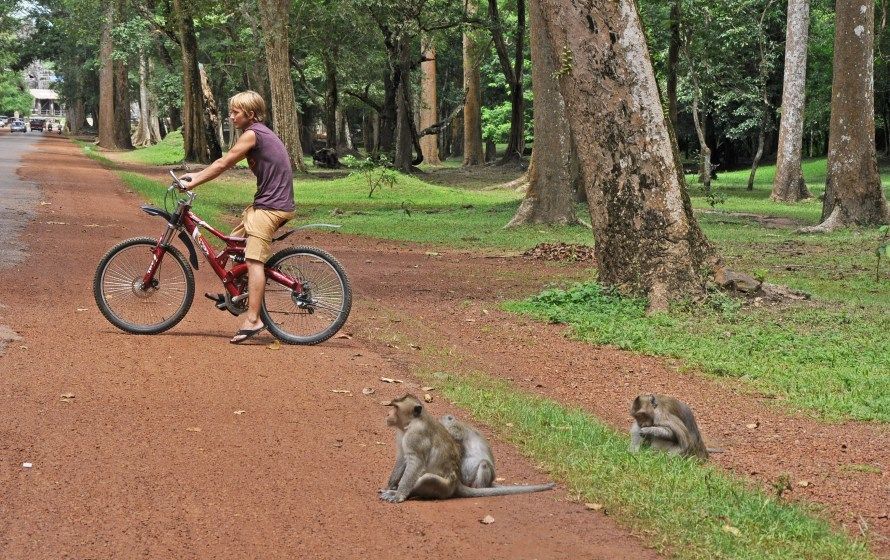 Photo of Cambodia: From Bangkok to Siem Reap and Angkor Wat Travel Guide ⋆ by Jana Dunworth