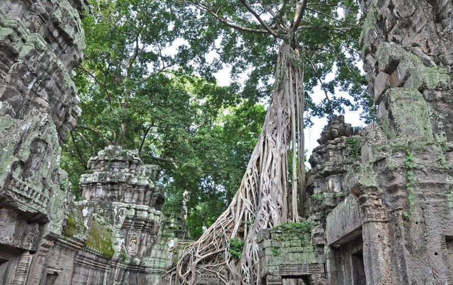 Photo of Cambodia: From Bangkok to Siem Reap and Angkor Wat Travel Guide ⋆ by Jana Dunworth