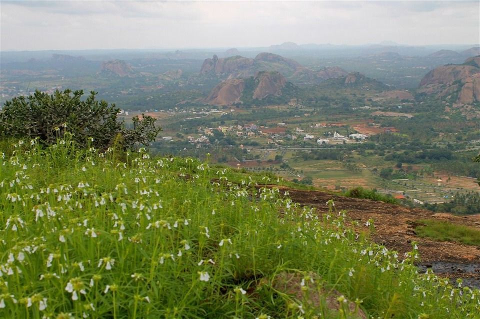 Photo of 10 Do-It-Yourself Treks Near Bangalore by Sreshti Verma