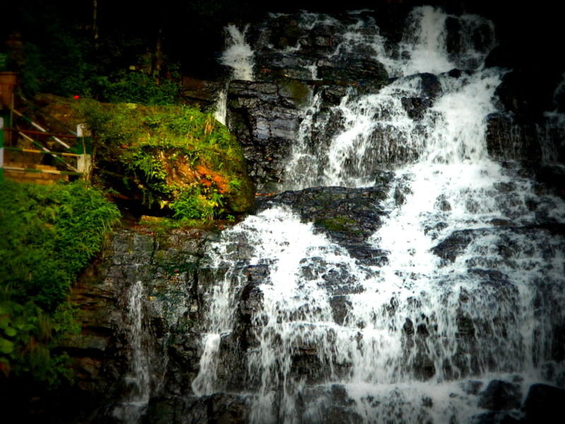 Photo of Shillong, Meghalaya, India by Nitisha Pandey