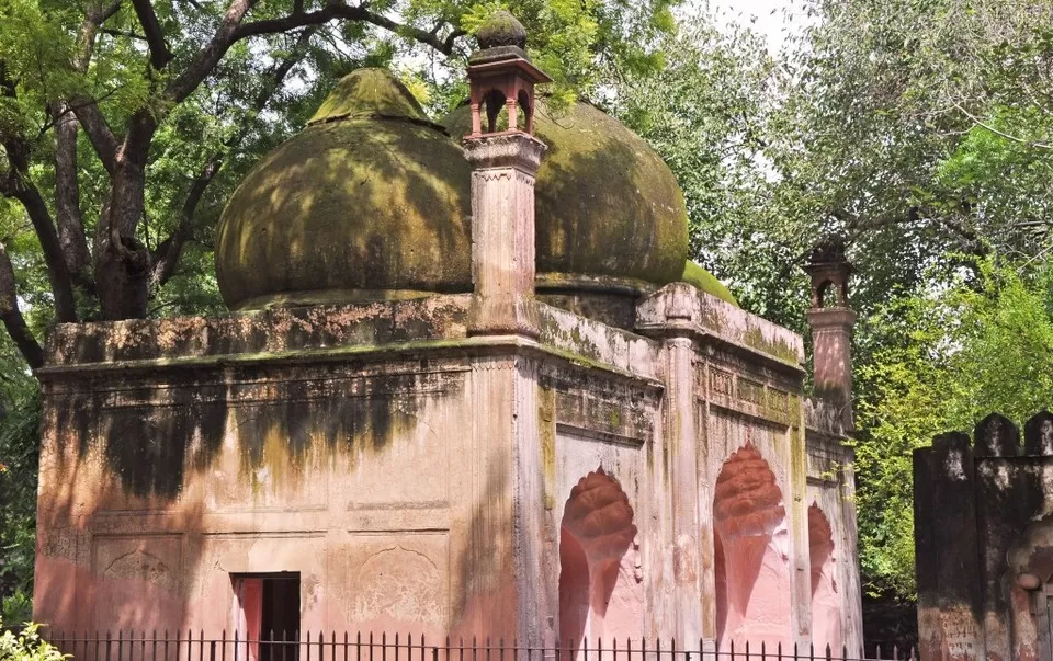 Photo of India: Taj Mahal And New Delhi Travel Tips by Jana Dunworth