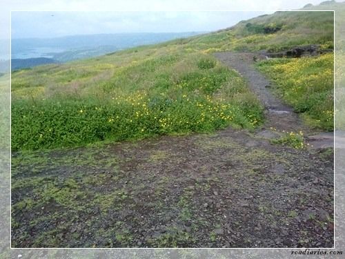 Photo of Lohagad Fort Or Iron Fort Trek by anju.malgaonkar