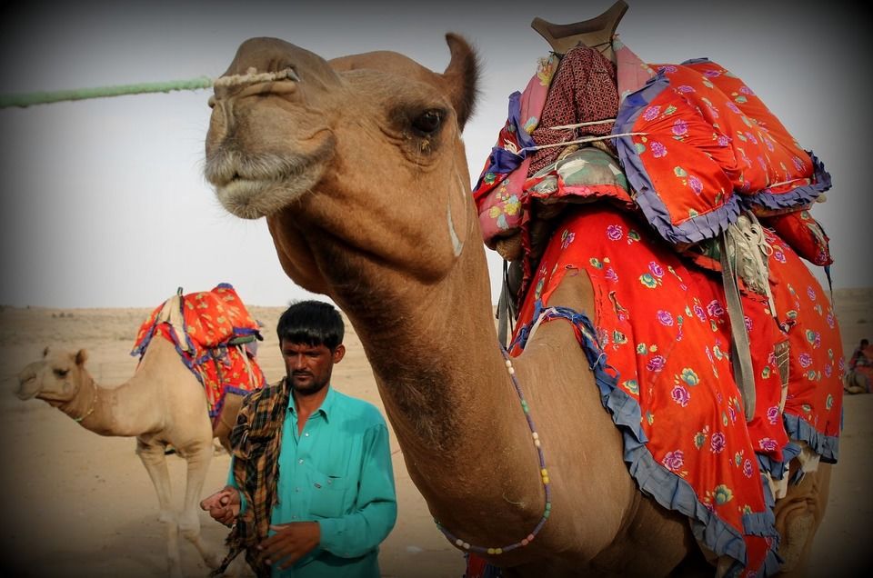 Photo of Jaisalmer, Rajasthan, India by Kausar Galaria
