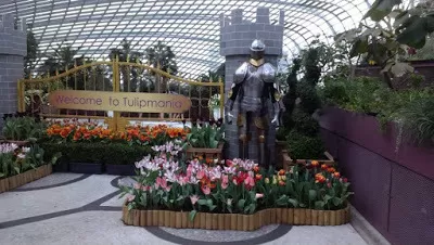 Photo of Gardens by the Bay Singapore by Ritusree exploring
