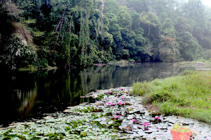 Photo of Thekkady, Kerala, India by Sheethal